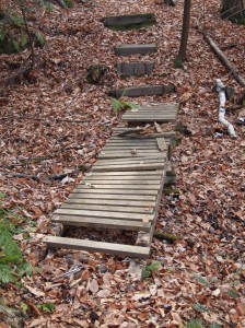 Old Pascommuck bridge 2 before