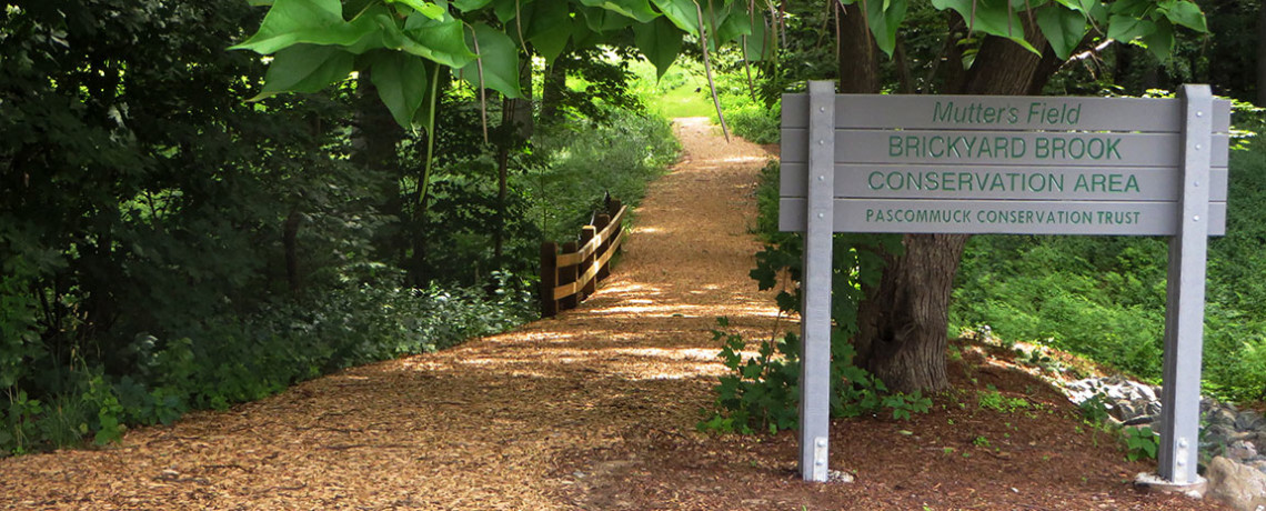 Tales of Nature at Mutter’s Field – July 18th