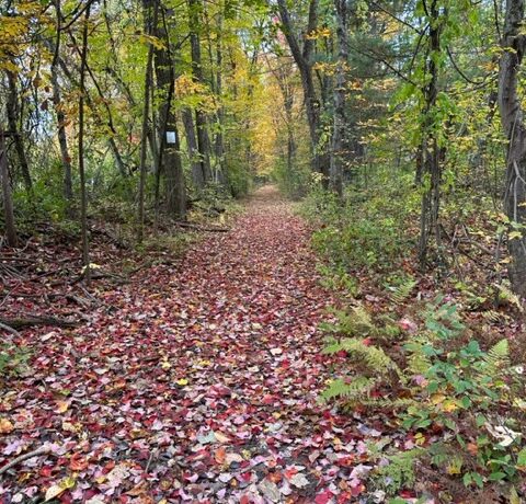 Fall colors at peak at Old Trolley Line