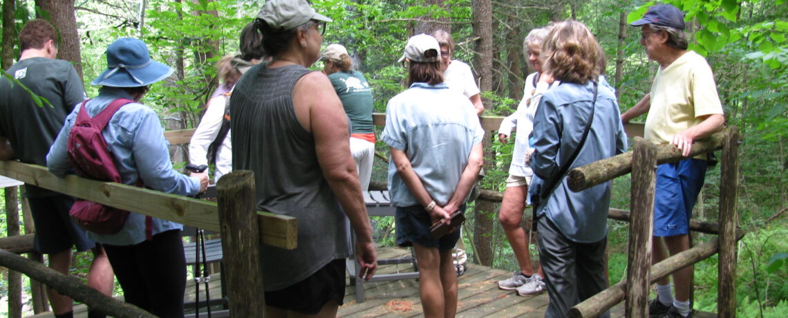 Pomeroy Meadow guided walk and the Firefly walk at Old Trolley Line well attended